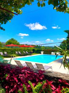 - une piscine avec des chaises longues et des fleurs dans l'établissement Quinta Dom Sapo - Agroturismo, à Viana do Castelo
