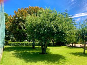 Zahrada ubytování Quinta Dom Sapo - Agroturismo