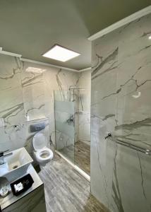 a bathroom with a shower and a toilet and a sink at Luxury Apartments Ivon in Plovdiv