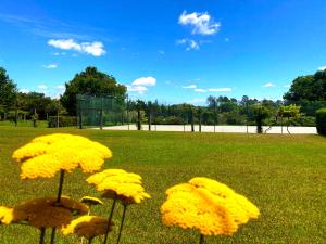 Zahrada ubytování Quinta Dom Sapo - Agroturismo
