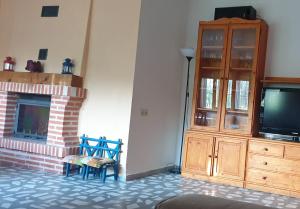 a living room with a tv and a fireplace at Casa con Encanto Mitos in Pelayos del Arroyo