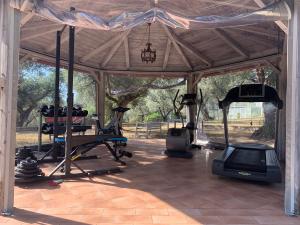 een fitnessruimte met een prieel met een loopband en een fitnessruimte bij Agriturismo Il Bagolaro in Nerola