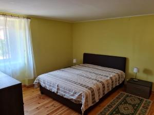 Un dormitorio con una cama grande y una ventana en Anna Bella Apartman en Gyula