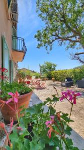 a group of flowers in front of a building at La maison du bonheur in Cotignac