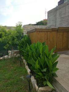 Zahrada ubytování Palm Villa