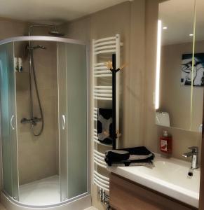 Koupelna v ubytování Apartment Merano