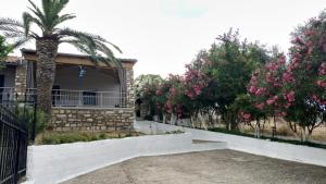 Zahrada ubytování Palm Villa