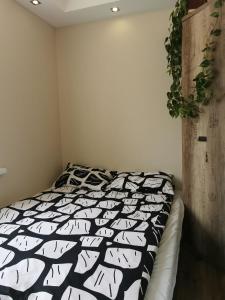 a bedroom with a bed with a black and white comforter at Apartament DINO in Ustka