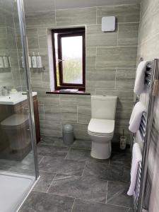 a bathroom with a toilet and a sink and a window at Meadowview Cottage, St Ives View in Camborne