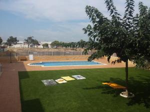 einen grünen Garten mit einem Pool und einem Baum in der Unterkunft Lo Xalador-Delta d'Ebre in Deltebre