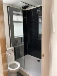 a bathroom with a toilet and a glass shower at The Gladson Guesthouse in Cleethorpes