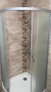a shower with a glass door in a bathroom at Pension NV in Lutherstadt Eisleben