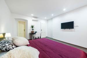 Televízia a/alebo spoločenská miestnosť v ubytovaní Aparment Lila