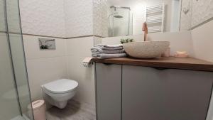 W łazience znajduje się umywalka i toaleta. w obiekcie Polonia Apartments w Łodzi