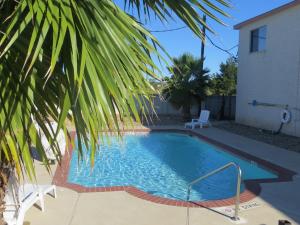a swimming pool with a palm tree next to a house at Americas Best Value Inn & Suites Hempstead in Hempstead