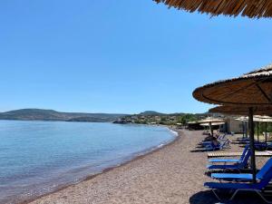 Příroda nedaleko venkovského domu