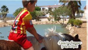 Fotografie z fotogalerie ubytování Casa Lo Fangar - Delta de l'Ebre C3 v destinaci Deltebre