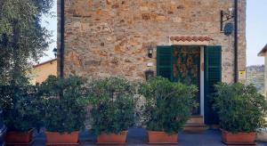 un groupe de plantes en pot devant une porte dans l'établissement Antica casa vista mare, à Pompeiana