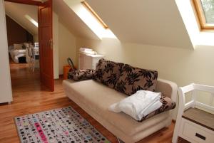 ein Wohnzimmer mit einem Sofa und einem Teppich in der Unterkunft Apartament Vistula in Wisła