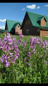 Gallery image of Mountain Soul Rest in Žabljak