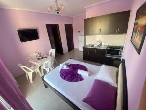 TV a/nebo společenská místnost v ubytování Hotel Vila Ali