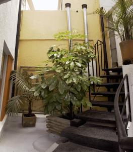 un pasillo con escaleras y macetas en un edificio en ApartaHotel Los Alcazares, en Bogotá