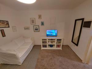 Μια τηλεόραση ή/και κέντρο ψυχαγωγίας στο Croatian Beach House Omiš