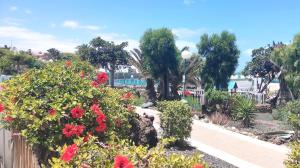 Fotografia z galérie ubytovania CASA ALICE COCOSOL v destinácii Costa de Antigua