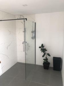 a bathroom with a shower and a potted plant at Relax House Banja Luka in Banja Luka