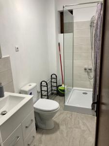 a bathroom with a toilet and a shower and a sink at Apartament Luca in Drobeta-Turnu Severin +27 photos