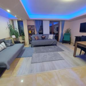 ブシュテニにあるKalinderu SKIER'S APARTAMENT BELLEVUEのソファとテーブルのあるリビングルーム