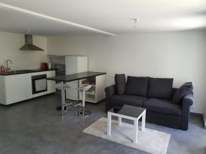 salon z kanapą i stołem w obiekcie La Maison du Main Coon w mieście Rezé