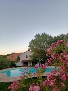 una piscina frente a una casa con flores rosas en Agriturismo La Locandiera, en Montemerano