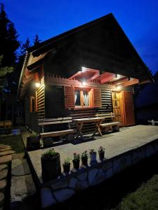 a log cabin with potted plants in front of it at Holiday Home Bella in Žabljak +28 photos