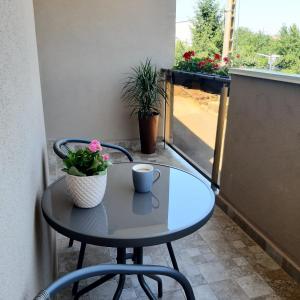 a table with a cup and a plant on a balcony at NEW Aparthotel Floresti in Floreşti