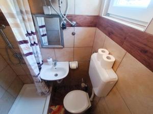 Kúpeľňa v ubytovaní Apartments Babic 50 meters from the beach + 21 fotografií