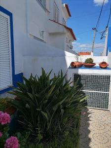 a balcony with some plants on a building at Alojamento local Família Coelho in Quinta do Conde