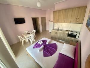 Kuchyň nebo kuchyňský kout v ubytování Hotel Vila Ali