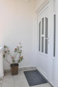 Fotografie z fotogalerie ubytování Guest House Marković v destinaci Budva