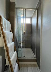 a shower with a glass door in a bathroom at Appartement hypercentre Fontainebleau in Fontainebleau