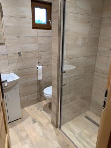 łazienka z prysznicem i toaletą w obiekcie Domek u Kamińskich w mieście Przyborów