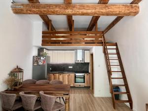 Kuchyň nebo kuchyňský kout v ubytování Apartmán Potůček