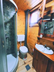 Kylpyhuone majoituspaikassa Brvnara koliba