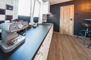 Kuchyňa alebo kuchynka v ubytovaní Apartament Wita Stwosza