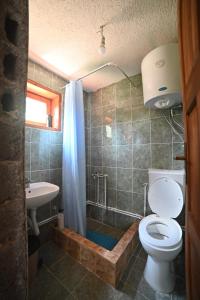 a bathroom with a toilet and a shower and a sink at Komovi Eko katun in Andrijevica
