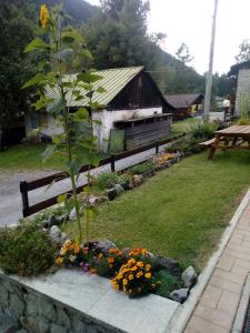 Zahrada ubytování Casa vacanze Emilio