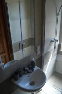 a bathroom with a sink and a shower at Willa Cisyna in Gliczarów