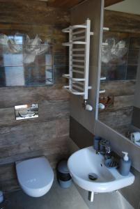 La salle de bains est pourvue d'un lavabo, de toilettes et d'un miroir. dans l'établissement Willa Cisyna, à Gliczarów