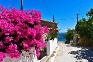 a bunch of pink flowers on the side of a building at A View Home _ Agkistri in Megalochori
