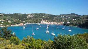 Um monte de barcos estão ancorados num porto. em Dimitri's Seaview Studio - Lakka Paxos em Lákka